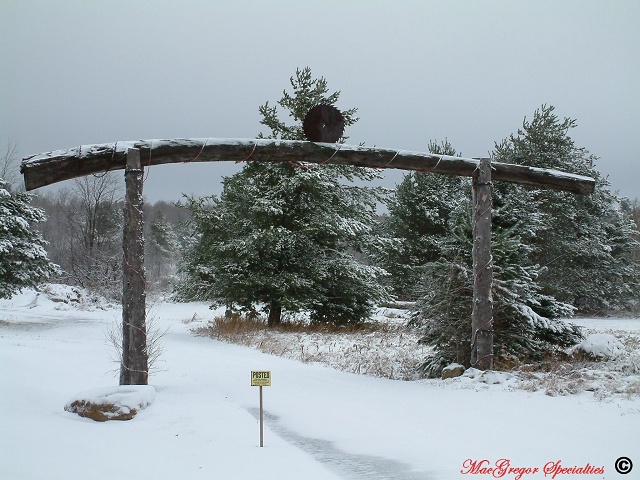 A Log Structure With Saw Blade In Tupper Lake 6