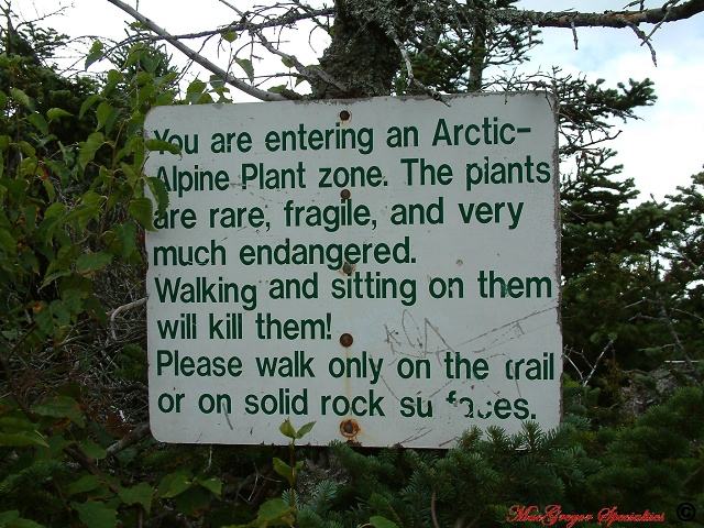 Alpine Plant Zone Plant Sign