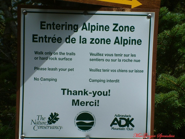Alpine Zone Entrance Sign