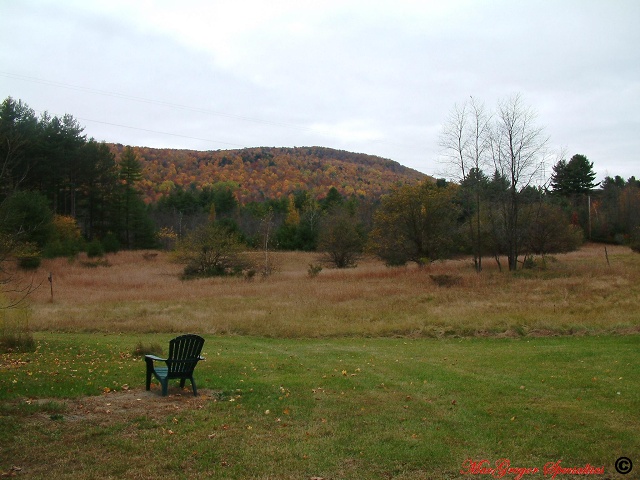 Fields Beside Gram's Old House 2 Of 2