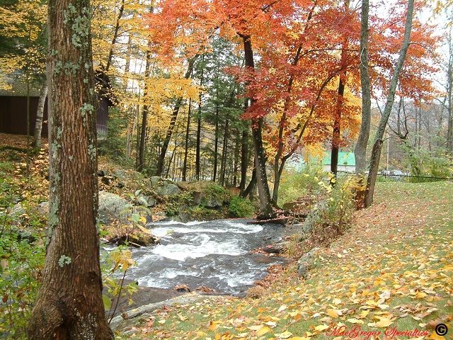 Luzerne Stream