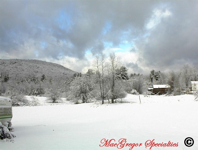 Snowy Day Over Antone Mountain