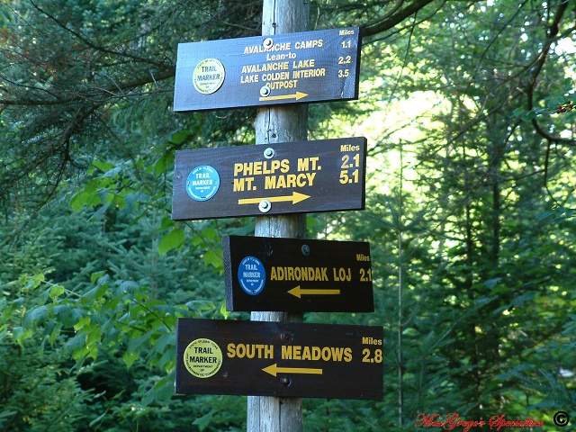 Trail Junction Signs 1