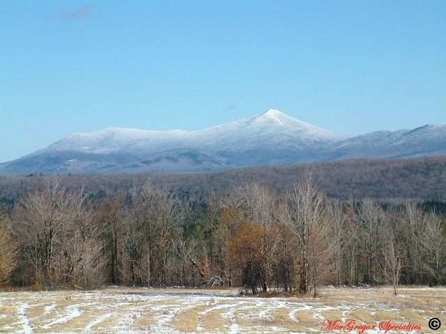Whiteface And Esther (winter)