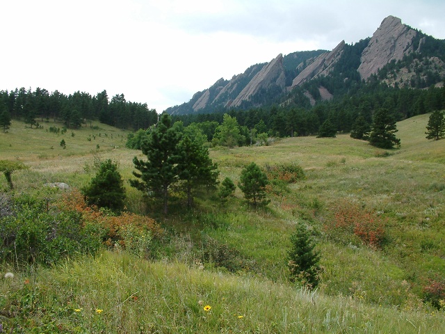 Chataqua Park (10)