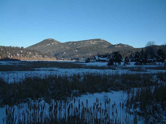 Evergreen Lake Wetland (4 Of 4)