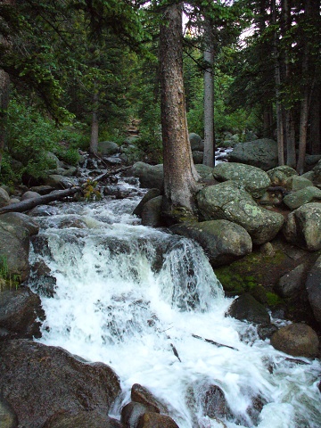 Gross Reservoir Area (7)