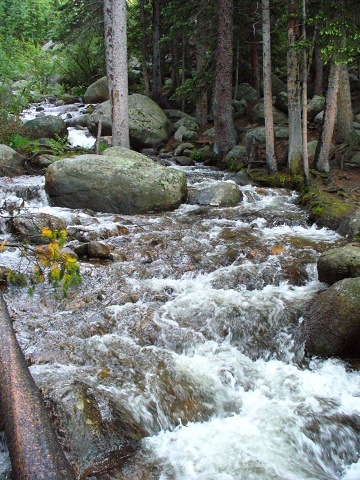 Gross Reservoir Area (9)