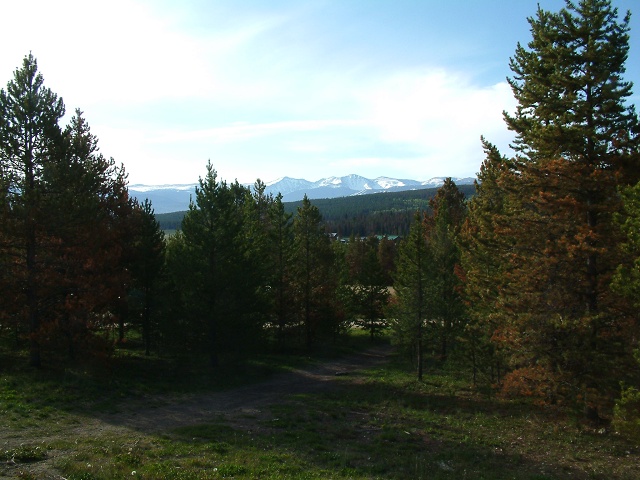 Offroading Near Bailey, CO (9)