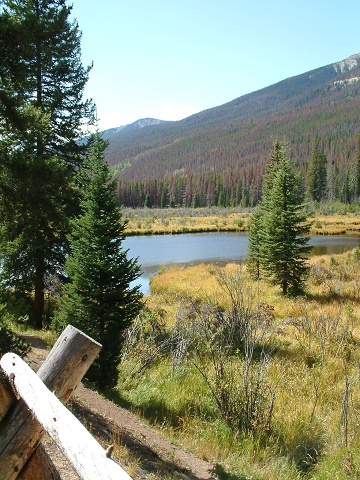 Scenery Pictures In Rocky Mtn National Park - Fall 2009 (79)