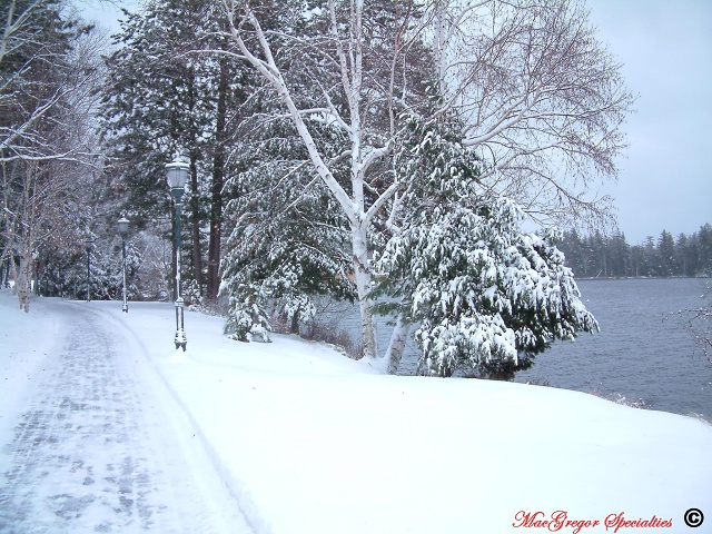 Path To Blum With Lake Snow