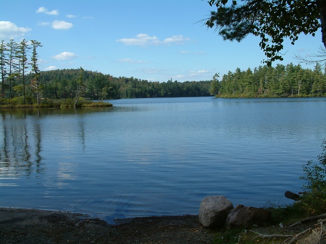 Pond At The White Pine Rd Boatlaunch