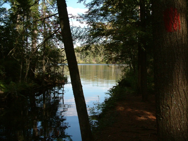 Pond Behind Church Pond