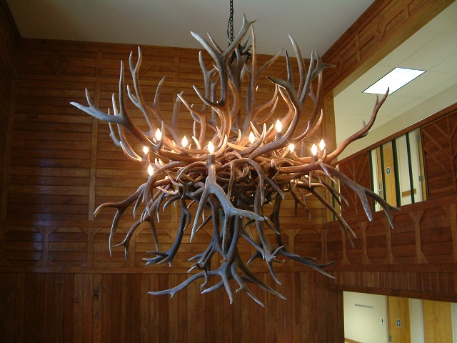 The Deer Antler Light In The Admin Bldg Of PSC Fall 2002 2