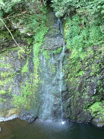 Costa Rican-looking Falls At Raymondskill Falls PA