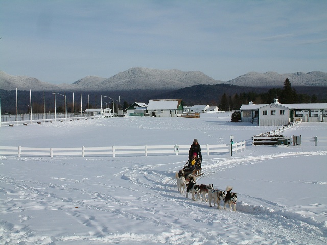 Dog Sled Rides, Lake Placid, NY 5 Of 7