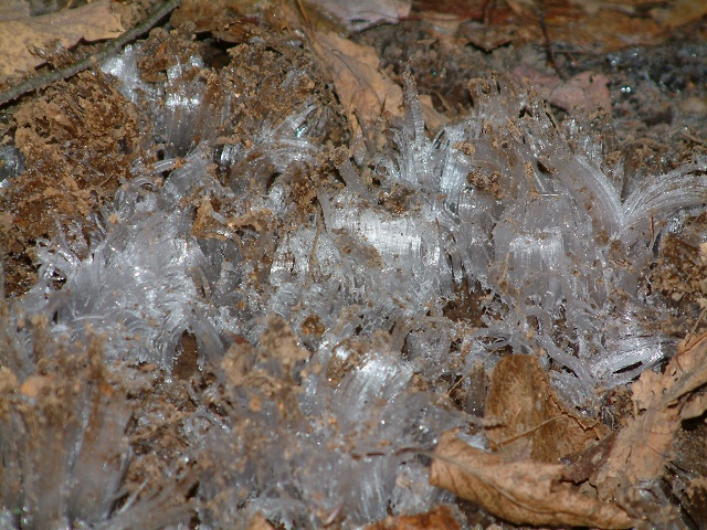 Ice Squeezed From Trail 7