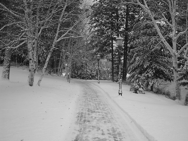 Path To Blum 1 Snow B&W