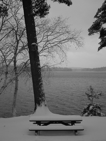 Picnic Table Overlooking LSR Snow B&W 1