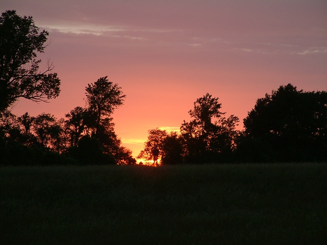 Sunset Adjacent To Amanda Lewis's House In Fields 1