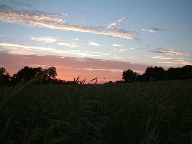 Sunset Adjacent To Amanda Lewis's House In Fields 5