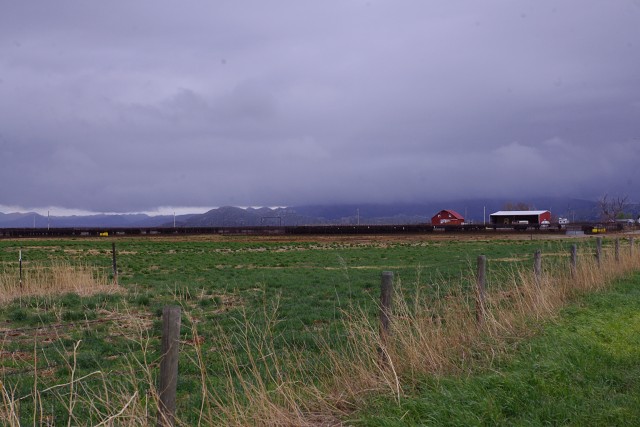 IMGP9202